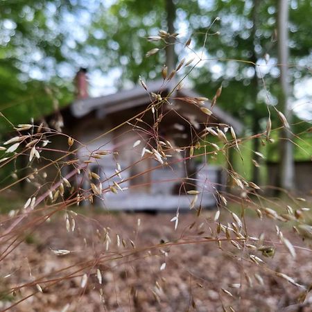 Bjaernhultsgardens Stugor Linderod Ngoại thất bức ảnh